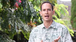 Hawaii SEO: Search Engine Optimization Expert Service