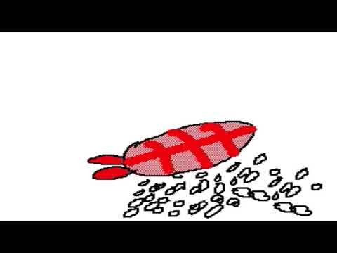 おしゅしのspirits（うごメモ）