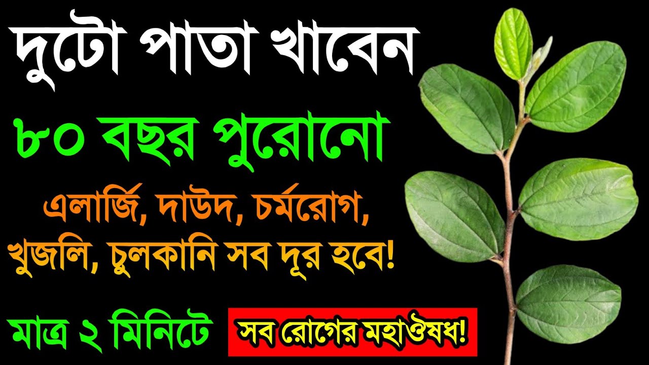 Uy qurilishi yapon porno