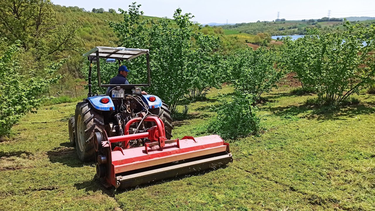🌰 Ot Parçalama Çekiyoruz Fındıkların İçine?  🚜 New Holland TD 4.100f