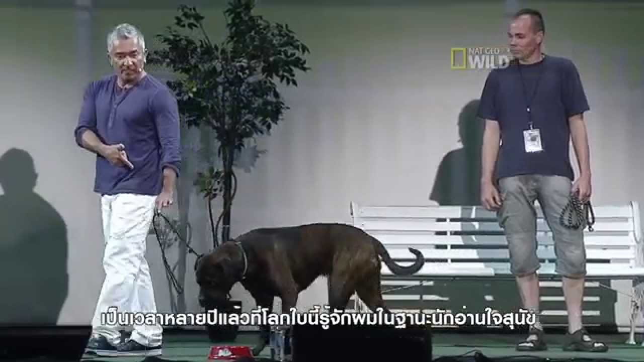 Cesar Millan LIVE - Love Your Dogs Tour Presented by VetzPetz