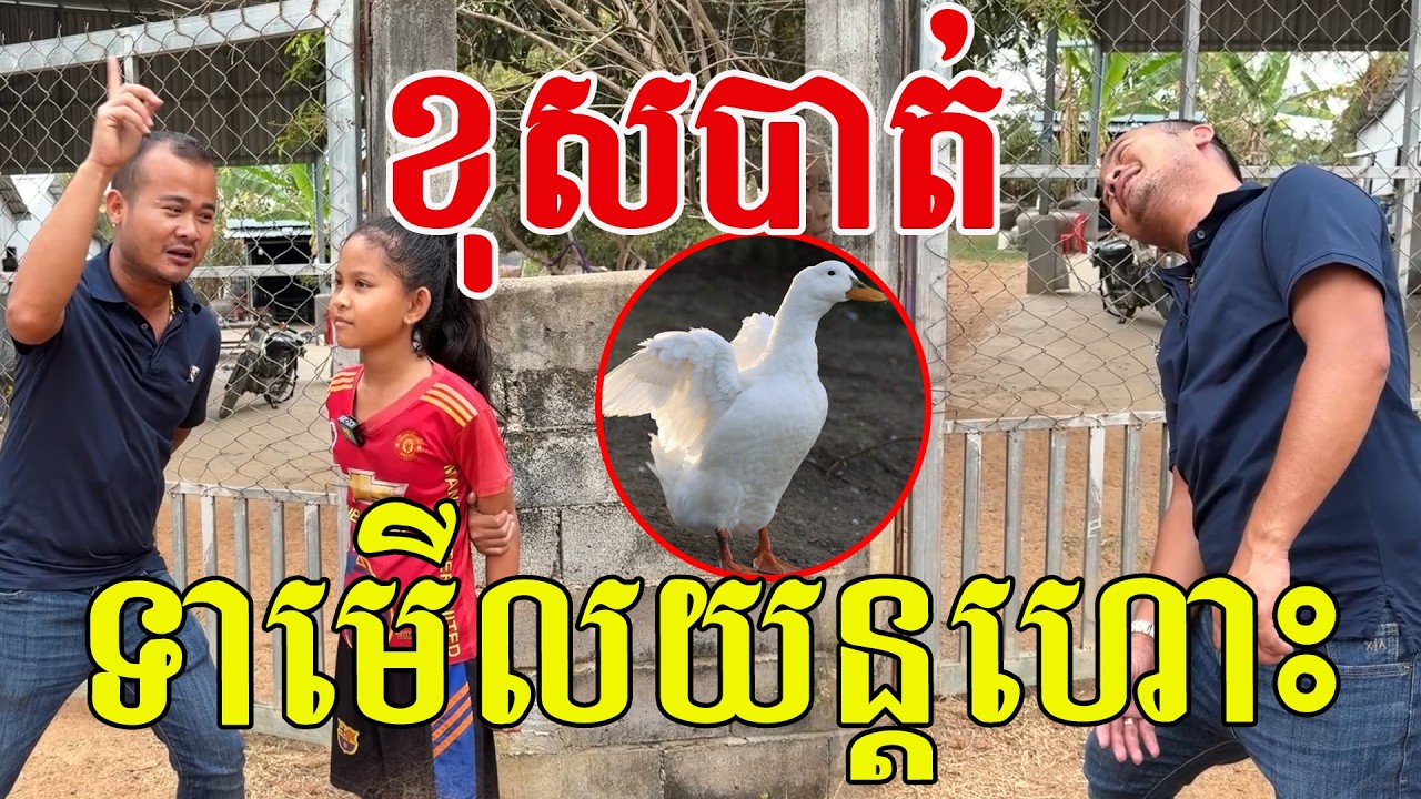 ខុសបាត់ ទាមើលយន្តហោះ បងប្អូនធ្លាប់ឃើញទេ