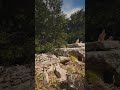 Collision with chaos Unreal Engine 5.5