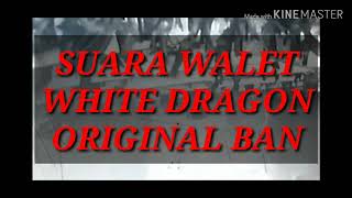 SUARA WALET WHITE DRAGON ORIGINAL BAN. link di Deskripsi