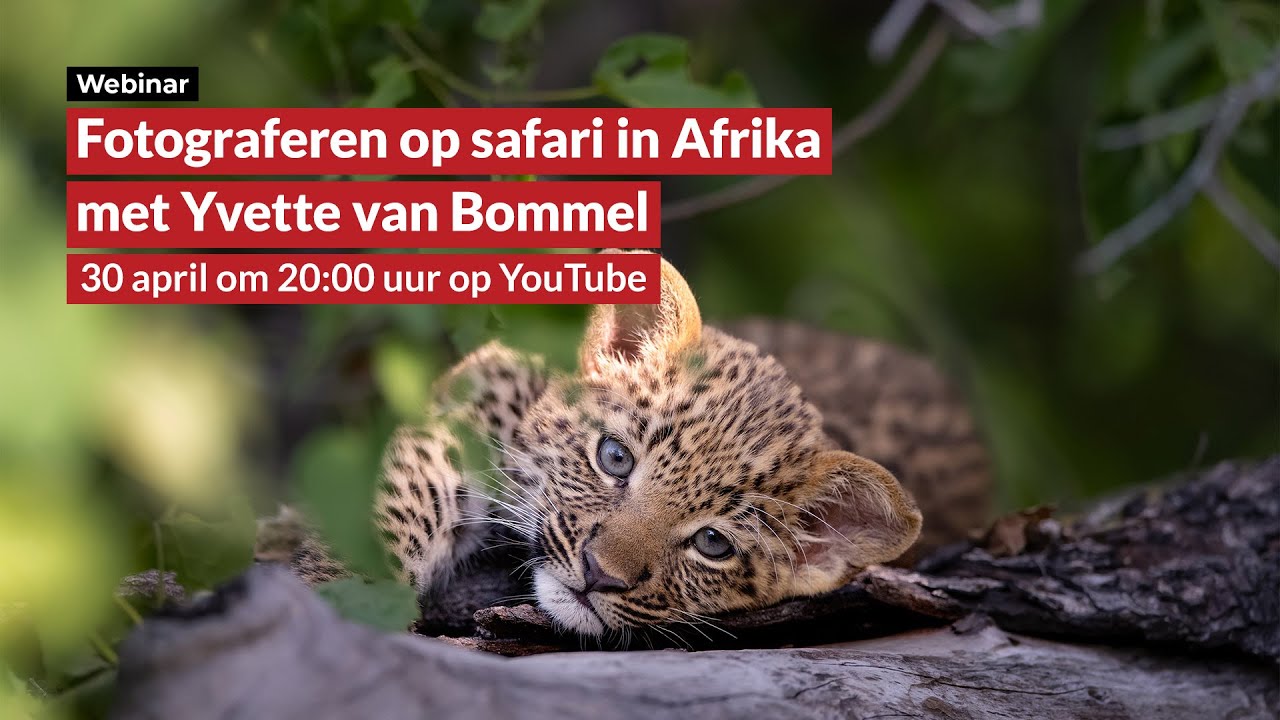 ahospers's Journal • Archives for January 2025 · iNaturalist NZ