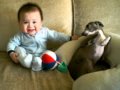 Baby and Italian Greyhound Kiss and Play