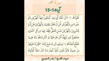 سورة محمد آية 14-15 صوت الشيخ ياسر الدوسري