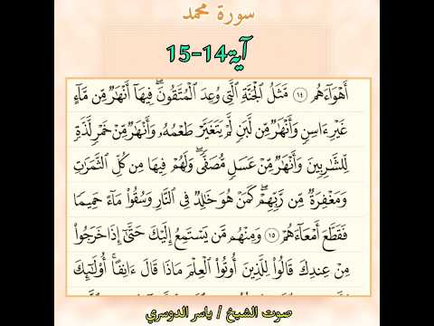 سورة محمد آية 14 15 صوت الشيخ ياسر الدوسري