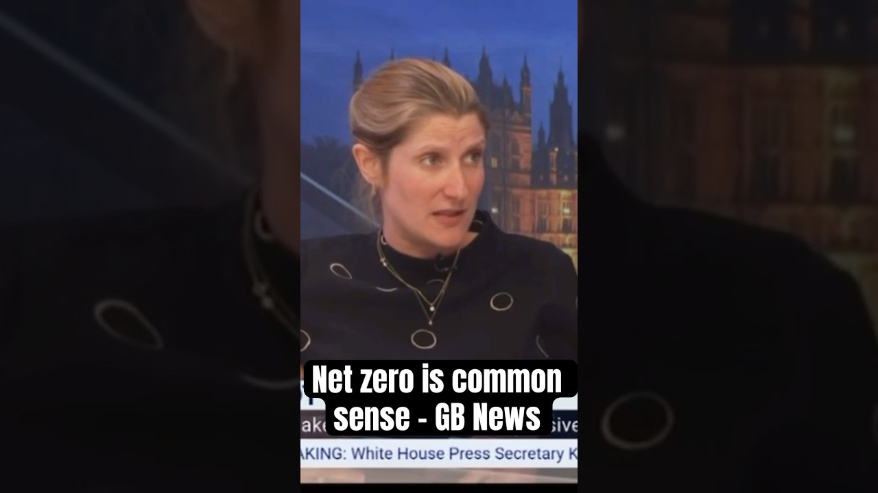 Net zero is common sense - GB News