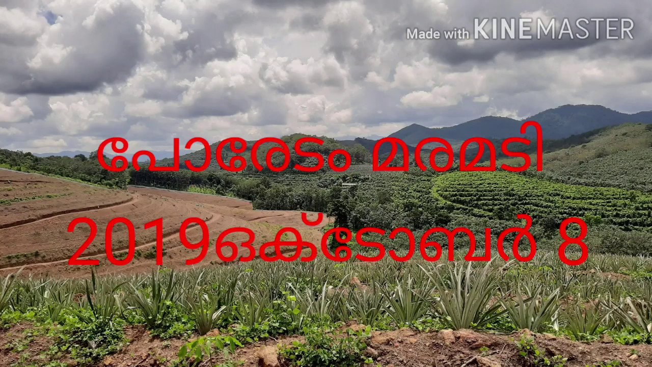 പോരേടം മരമടി 2019