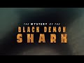 The mystery of the black demon shark  forrest galante  shark week 2021