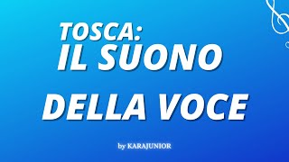 Video thumbnail of "TOSCA , IL SUONO DELLA VOCE , KARAOKE , BASE ORIGINALE"