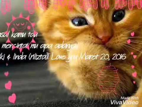Download Lagu Lacy Band Hargai Cintaku Download Lagu Lacy Band Hargai Cintaku