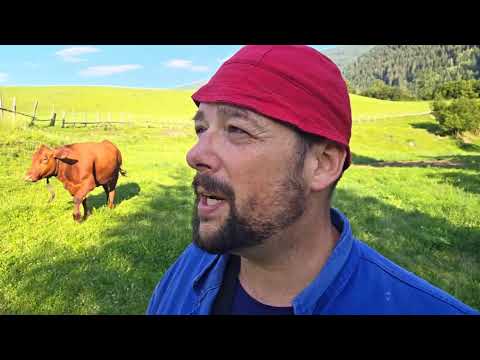 Live streaming of Petutschnig Hons aus Schlatzing