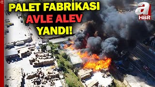 Kocaeli'de palet fabrikası alev alev yandı | A Haber