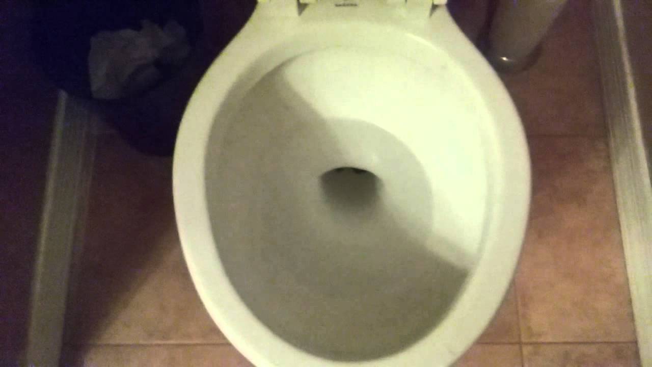 6. Lamosa Sahara Toilet YouTube