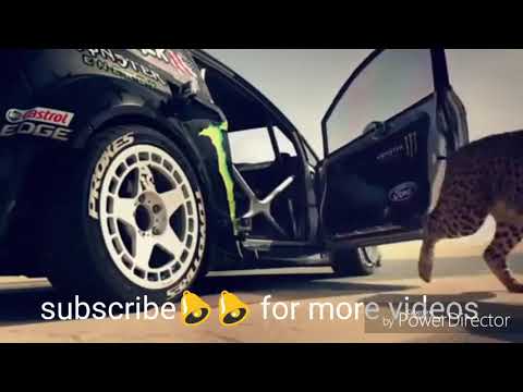 ya-lili-~~-arabic-song-!!