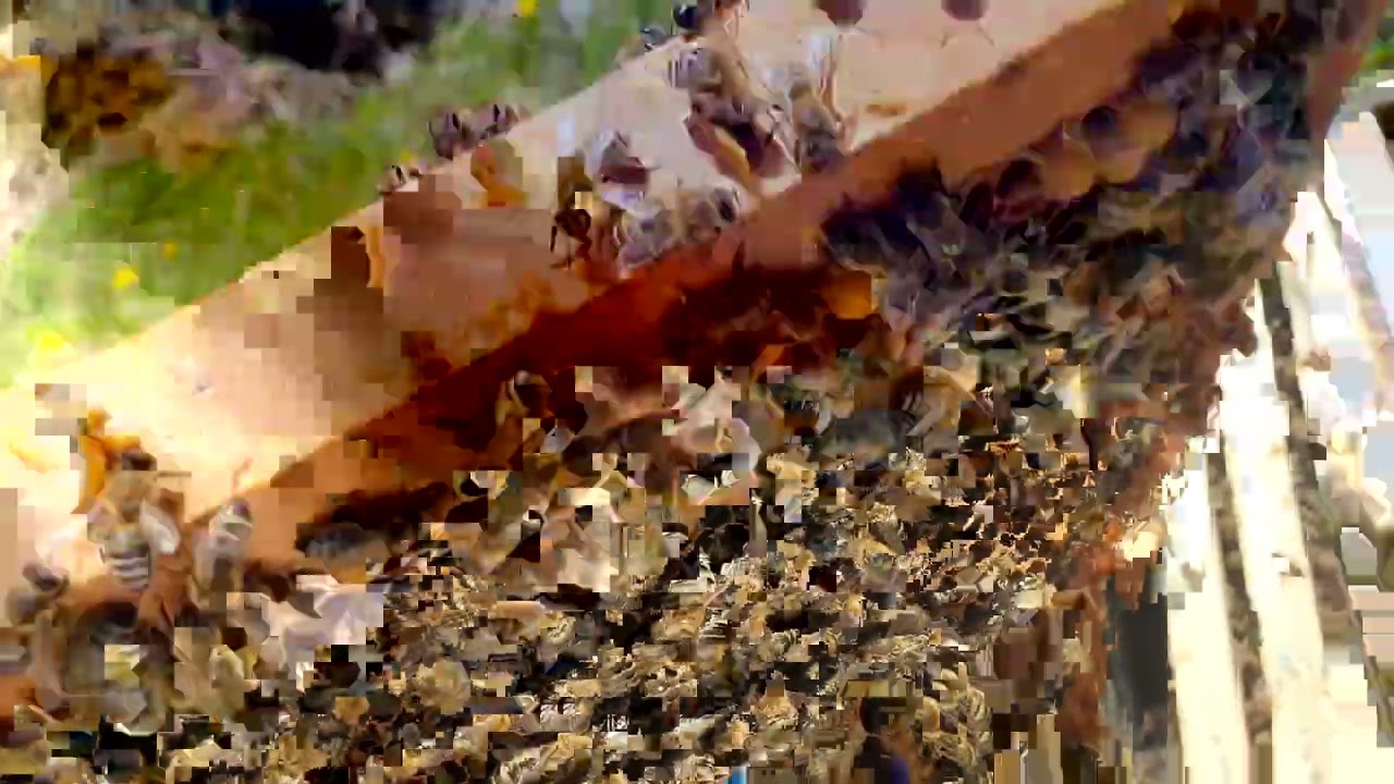 RAD SA SLABOM ZAJEDNICOM, MEDIŠTE 2 DIO.