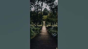 الآية ٥١*٥٢ من سورة المائدة تلاوة جميلة جدا بصوت القارئ أحمد العجمي