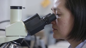 Inoculant Facility Tour Video | BASF