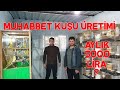 Muhabbet Kuşu Üretim Eski Öğrencim Serkan Sen Bu İşi Yapıyorsun