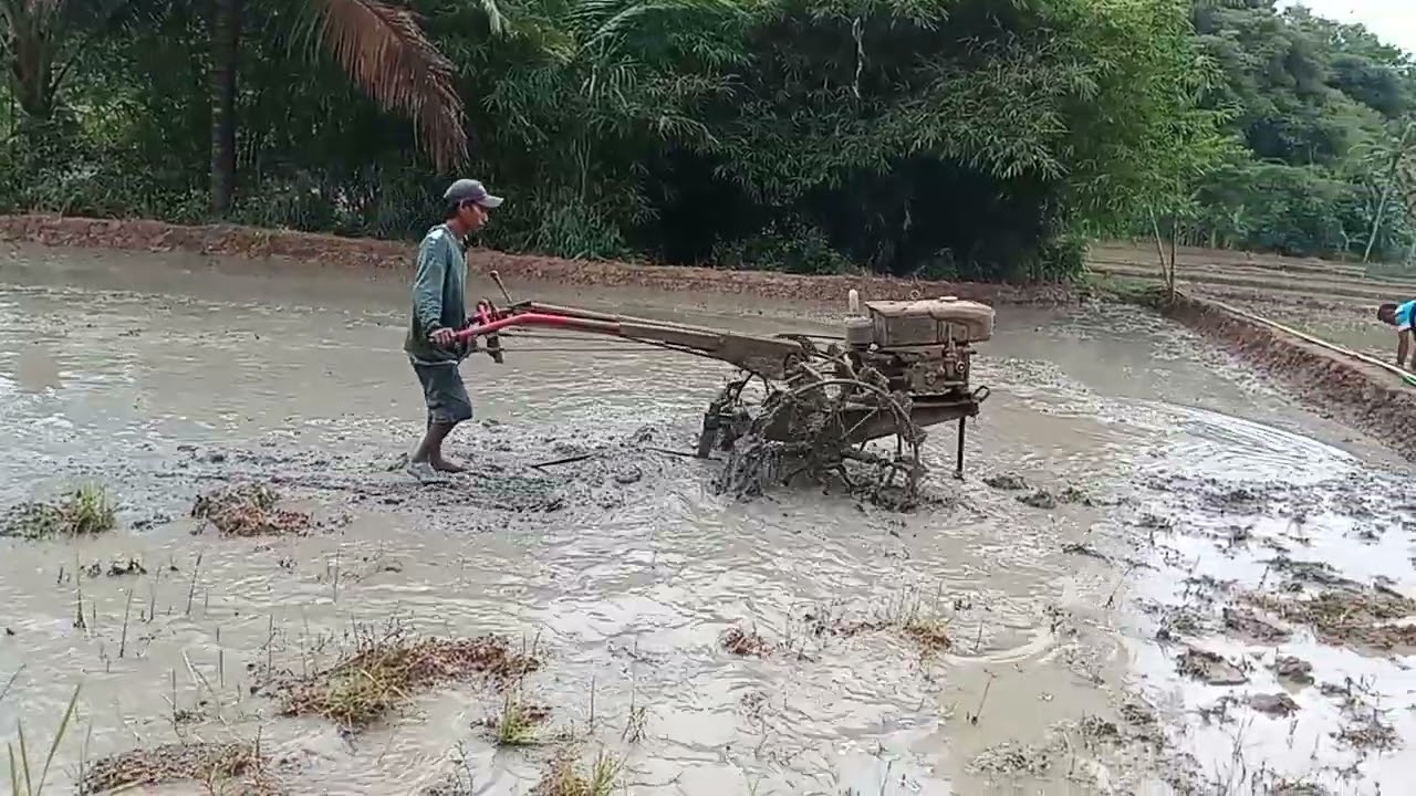 Joki muda gunakan tetaktor  Quick @DIESEL-u8d