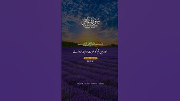 سوره غافر | گلدان (40-44 ) | ترجمه اردو #القرآن #ترجمه قرآنی #حساب unfrezzmy