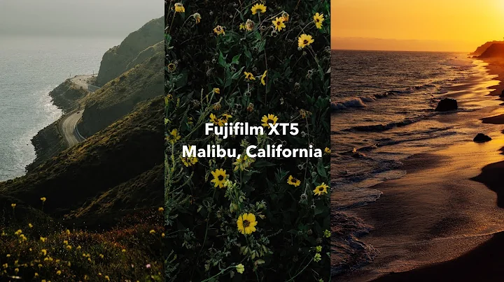 Why I Love the Fujifilm X-T5 for Landscape Photography