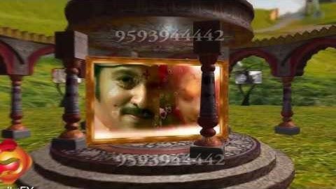 Shailu FX 3D_Boris HD 3D  BEST COLLECTION WEDDING_9593944442