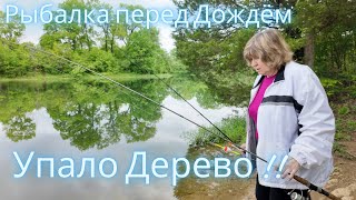 Рыбалка на Озере. Упало Дерево рядом с Нами.