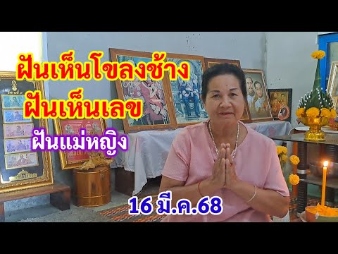 ฝันเห็นโขลงช้าง ฝันเห็นเลข 16 มี.ค.68 แม่หญิง ฝันเห็นโขลงช้าง ฝันเห็นเลข 16 มี.ค.68 แม่หญิง
