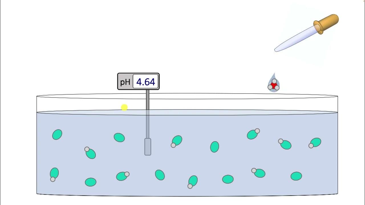 Add Strong Acid to Buffer Animation YouTube