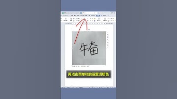 WPS如何制作电子签名，仅需五秒教你轻松搞定 办公技巧 word干货分享