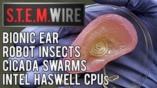 S.t.e.m. Wire Bionic Ear, Robot Insects, Cicada Swarms, Intels Haswell Cpu