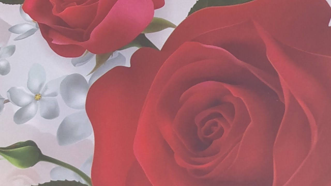 #ውድ ነገር ያለ ቦታው ርካሽ ነው ስንል ምን ማለታችን ነው?#🤔