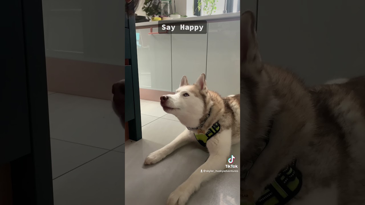 Mother’s Day treat 