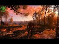 Windy - Forest - Relaxing Ambience ASMR - The Witcher