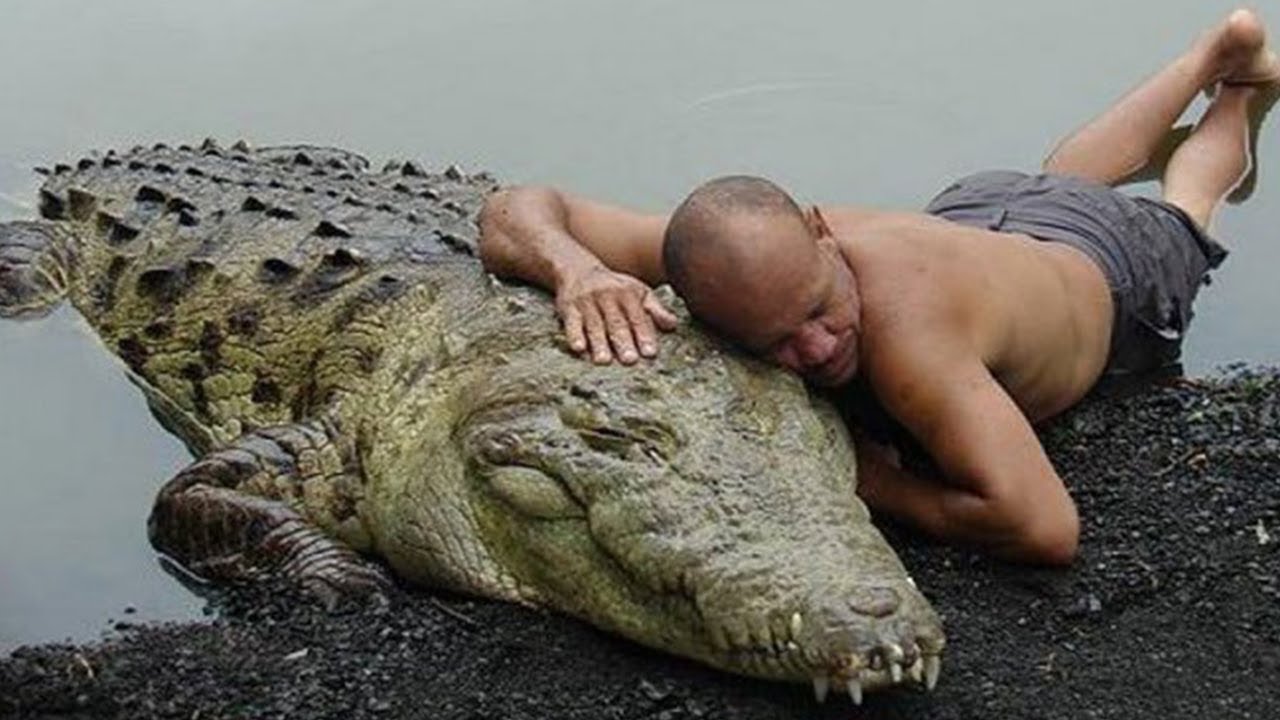 10 Most Unusual Friendships Between Humans And Wild Animals