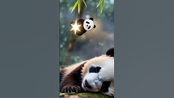 "Cutest Nap Ever? Watch This Baby Panda Sleep Peacefully!