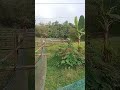 আমার এলাকা #rells #lifeisbutadream #viralvideo #natural