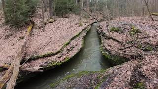 Hell's Hollow hike - take a tour of Hell's Hollow with our environmental educator, Ryan.