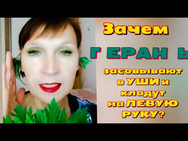 ГЕРАНЬ: скорая помощь от ДАВЛЕНИЯ, ГОЛОВНОЙ БОЛИ и ОТИТА! Народные рецепты из чудо-цветка.