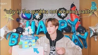 “why is the quokka not wearing pants?” #hanjisung #vlive