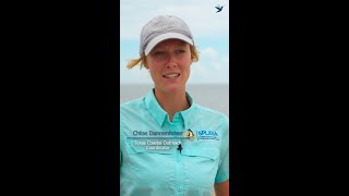 Stopping Plastics and Litter Along Shorelines, World Water Day