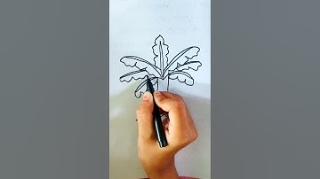 How to draw Banana Tree #shorts #art #viral