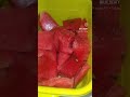 ترند صنع ايس كريم البطيخ جربوه ترند صنع ايس كريم البطيخ جربوه