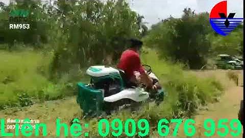 Máy cắt cỏ hoang cỏ dại OREC RM953- Thiên Minh 0909 676 959