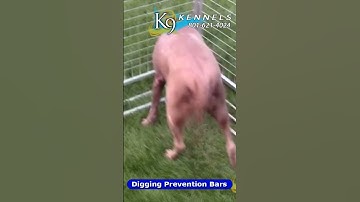 Main video #shorts Digging Prevention