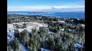 Why we live on an Island
