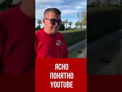Видно ли автору видео с доступом по ссылке ники аккаунтов, которые получили эту ссылку? #Shorts